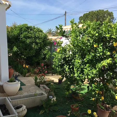 בית הארחה Esperanza טורבייחה